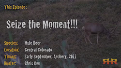 2011 Mule Deer Hunt - Seize the Moment