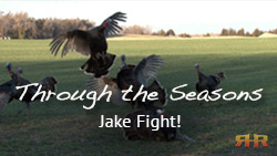 Kansas Turkey Hunting - Jake Fight!