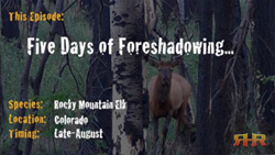 Elk Hunting - Five Days of Foreshadowing